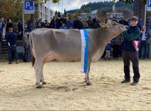 tagessiegerin willisau